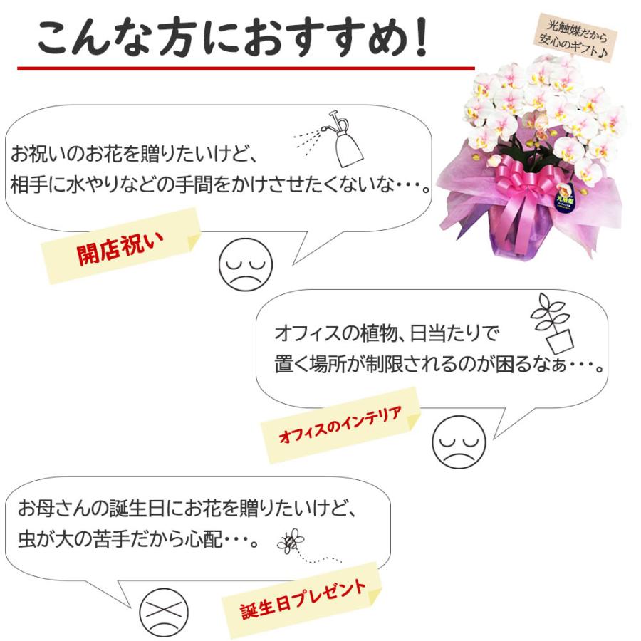 光触媒 胡蝶蘭 3本立ち 造花 ギフト 開店祝い 誕生日 退職祝い お供え 仏花 鉢植え 敬老の日 引越し祝い 就任祝い 長寿祝い お中元 母の日 |  | 11