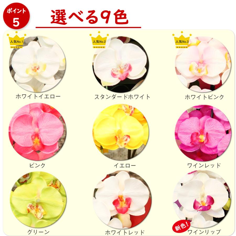 光触媒 胡蝶蘭 3本立ち 造花 ギフト 開店祝い 誕生日 退職祝い お供え 仏花 鉢植え 敬老の日 引越し祝い 就任祝い 長寿祝い お中元 母の日 |  | 14