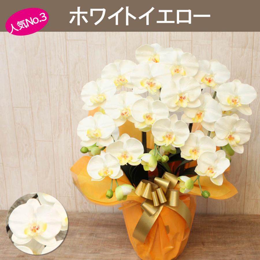 光触媒 胡蝶蘭 3本立ち 造花 ギフト 開店祝い 誕生日 退職祝い お供え 仏花 鉢植え 敬老の日 引越し祝い 就任祝い 長寿祝い お中元 母の日 |  | 17