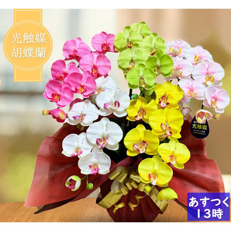新規購入 胡蝶蘭 造花 光触媒 開店祝い 5本立 カラフル 白 ピンク 黄色 お祝い 誕生日 大輪 長寿 プレゼント お歳暮 ギフト コチョウラン ココキャン Cisama Sc Gov Br