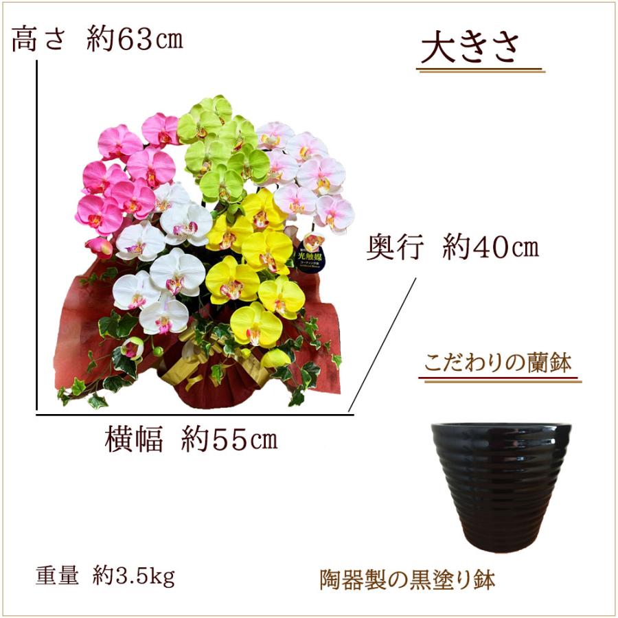 母の日 胡蝶蘭 造花 光触媒 開店祝い 5本立 カラフル 白 ピンク 黄色 お祝い 誕生日 大輪 長寿 プレゼント お歳暮 ギフト コチョウラン ココキャン |  | 03