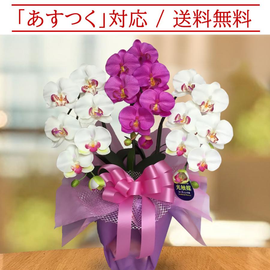 胡蝶蘭 光触媒 3本立ち ミックスカラー Mサイズ ギフト お祝い 造花 鉢植え インテリア プレゼント 送料無料 |  | 01