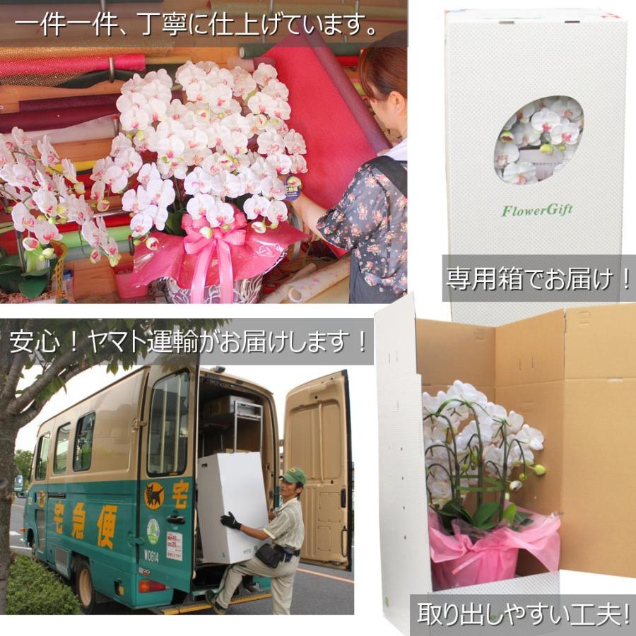 胡蝶蘭 光触媒 3本立ち ミックスカラー Mサイズ ギフト お祝い 造花 鉢植え インテリア プレゼント 送料無料 |  | 16