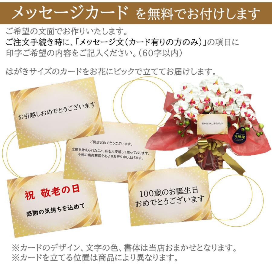 胡蝶蘭 光触媒 3本立ち ミックスカラー Mサイズ ギフト お祝い 造花 鉢植え インテリア プレゼント 送料無料 |  | 09