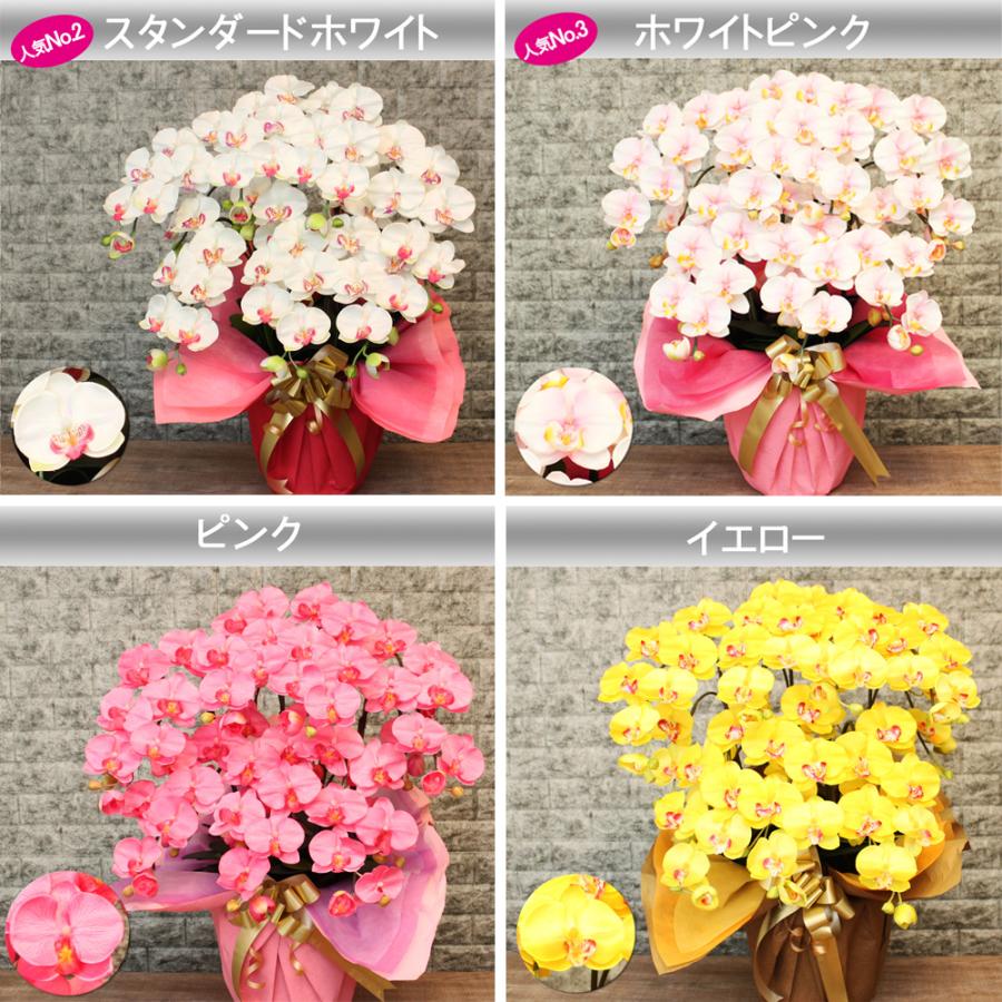 光触媒 胡蝶蘭 7本立ち 豪華絢爛 大輪 造花 ギフト 移転祝い 就任祝い 周年記念 社長祝い お供え 仏花 長寿祝い 鉢植え 母の日 敬老の日 |  | 18