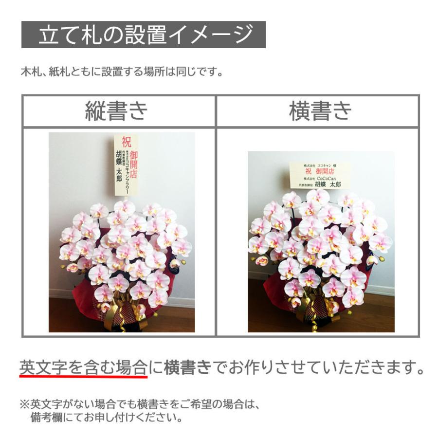 光触媒 胡蝶蘭 7本立ち 豪華絢爛 大輪 造花 ギフト 移転祝い 就任祝い 周年記念 社長祝い お供え 仏花 長寿祝い 鉢植え 母の日 敬老の日 |  | 24