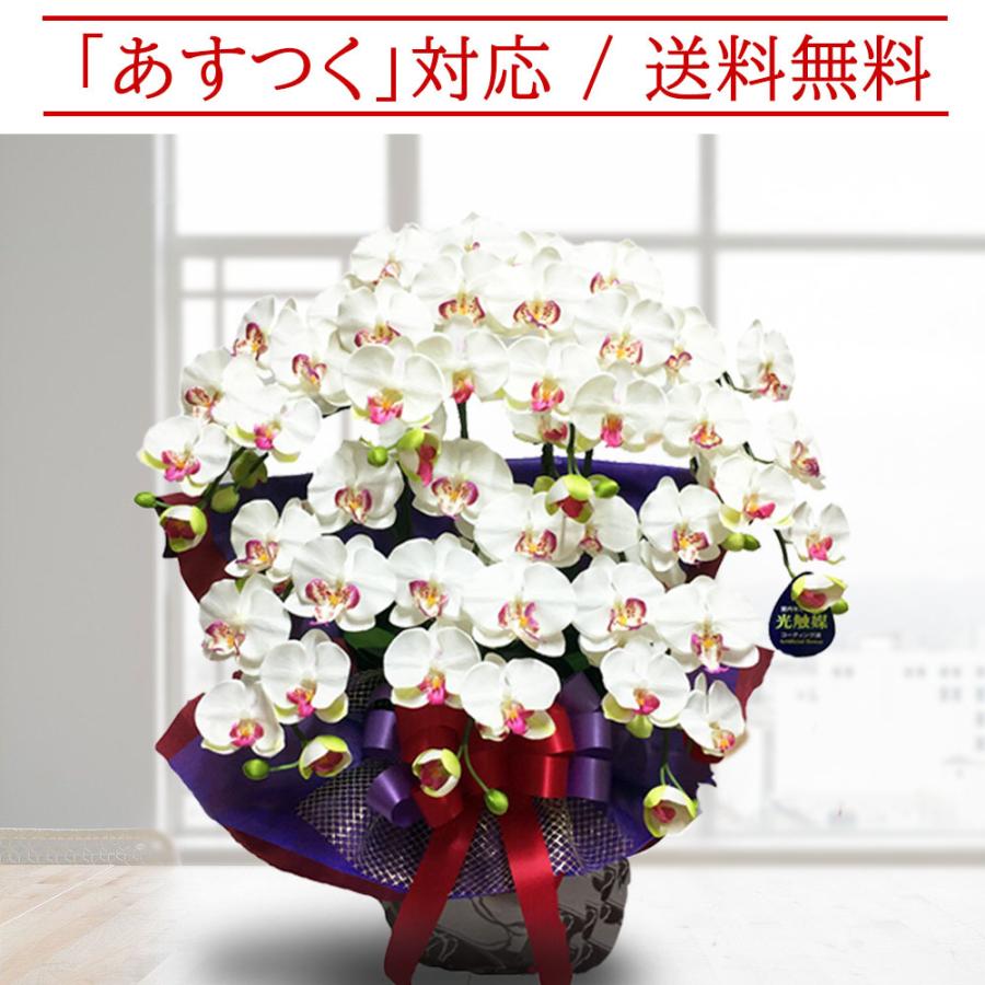 敬老の日 胡蝶蘭 造花 開店祝い ７本立 送料無料 お祝い 誕生日 大輪 ギフト こちょうらん 開業 開院 就任 古希 喜寿