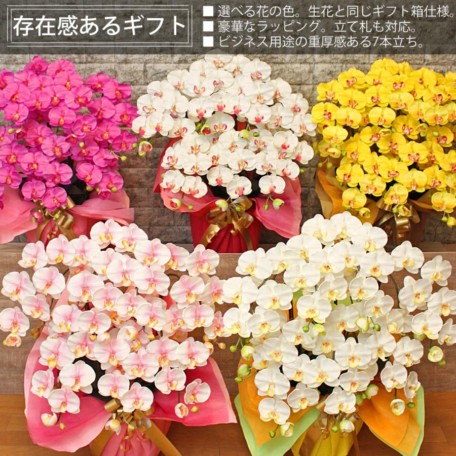 光触媒 胡蝶蘭 7本立ち 豪華絢爛 大輪 造花 ギフト 移転祝い 就任祝い 周年記念 社長祝い お供え 仏花 長寿祝い 鉢植え 母の日 敬老の日 |  | 13