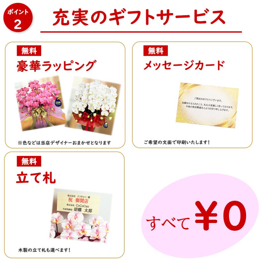 敬老の日 胡蝶蘭 造花 開店祝い ７本立 送料無料 お祝い 誕生日 大輪 ギフト こちょうらん 開業 開院 就任 古希 喜寿