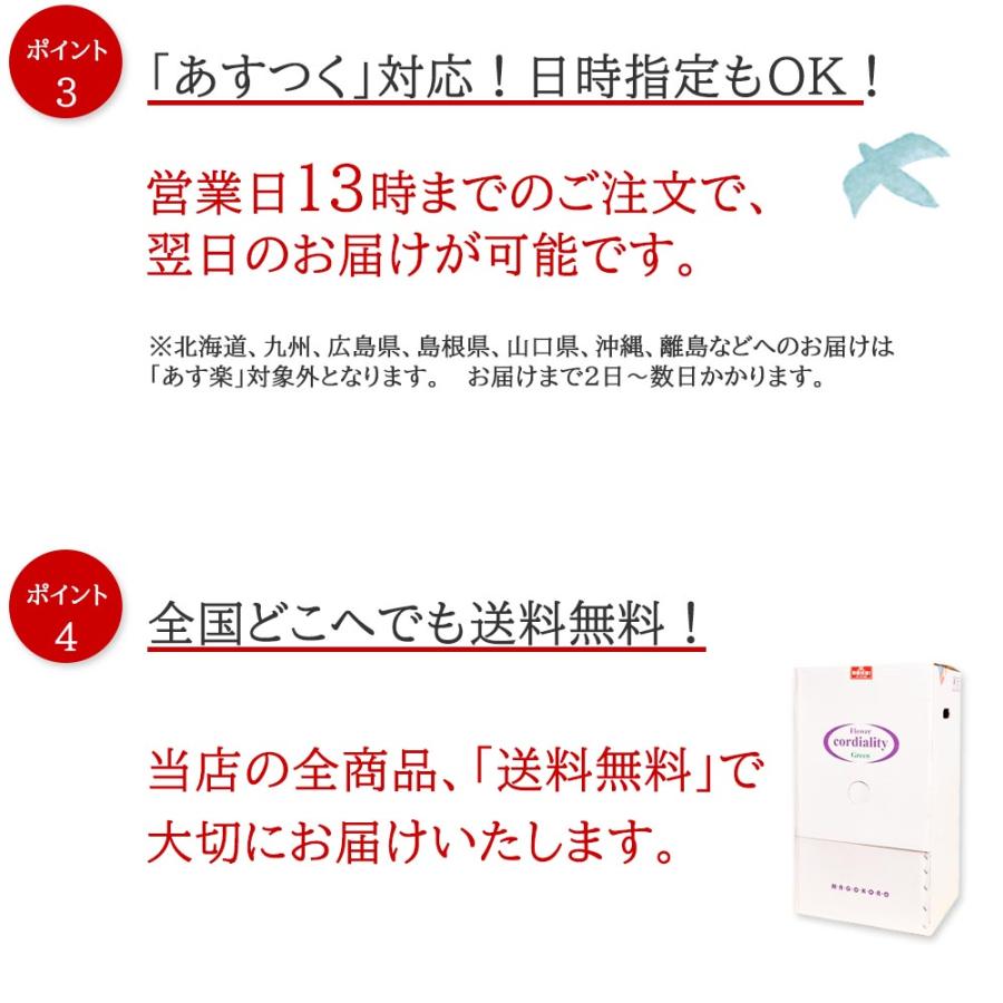 敬老の日 胡蝶蘭 造花 開店祝い ７本立 送料無料 お祝い 誕生日 大輪 ギフト こちょうらん 開業 開院 就任 古希 喜寿