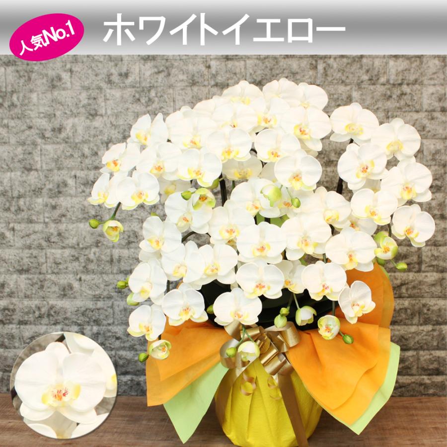 光触媒 胡蝶蘭 7本立ち 豪華絢爛 大輪 造花 ギフト 移転祝い 就任祝い 周年記念 社長祝い お供え 仏花 長寿祝い 鉢植え 母の日 敬老の日 |  | 17