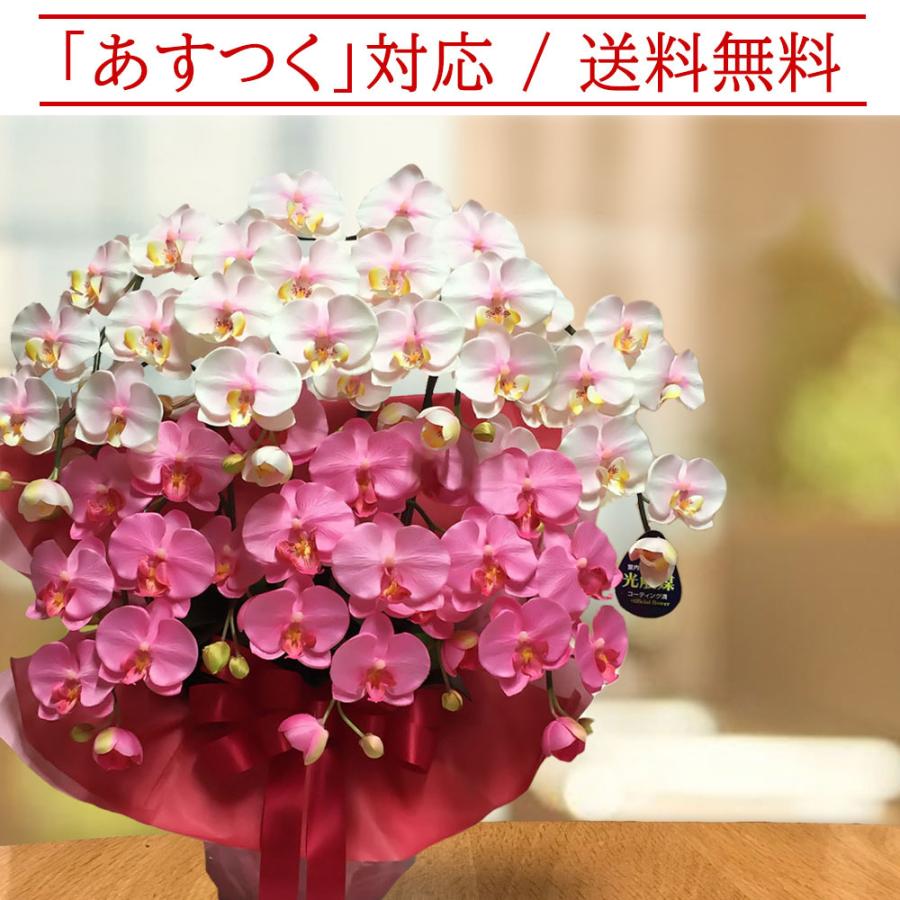 胡蝶蘭 光触媒 7本立ち ピンクグラデーション 豪華 ギフト 法人祝い 就任 周年 記念 お祝い 枯れない花 送料無料 |  | 01