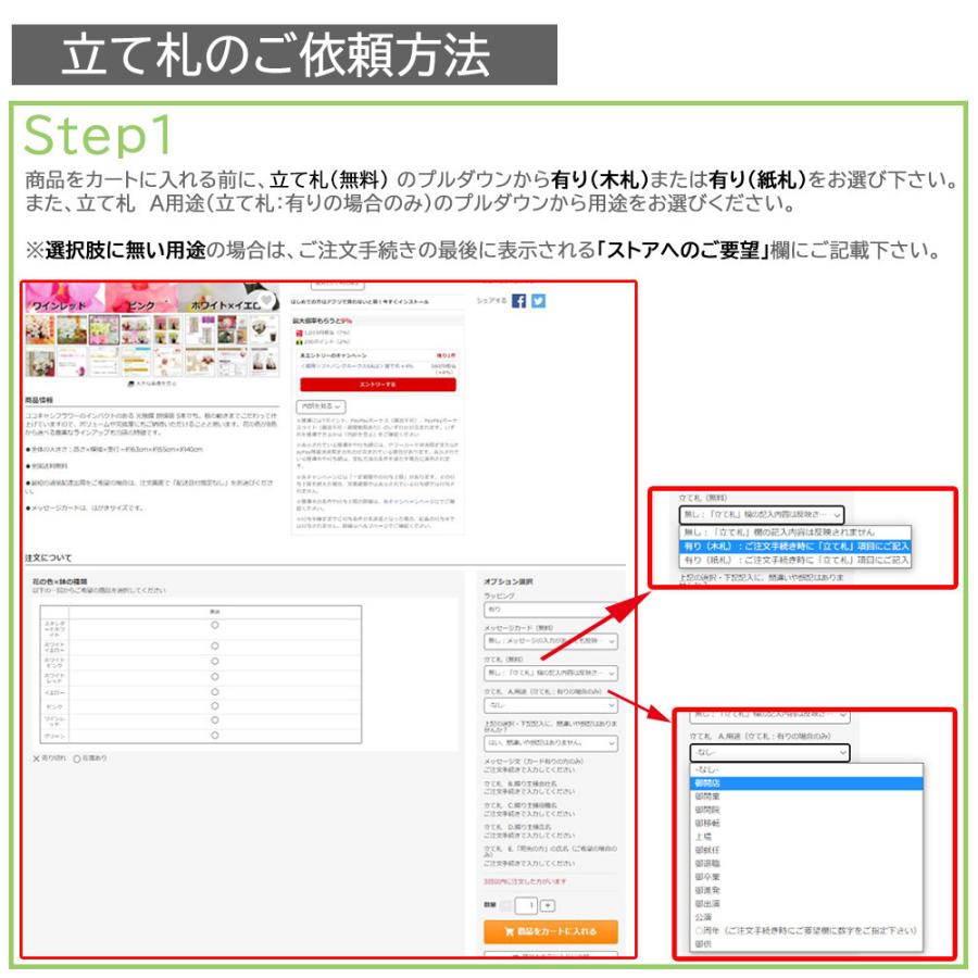 胡蝶蘭 光触媒 7本立ち ピンクグラデーション 豪華 ギフト 法人祝い 就任 周年 記念 お祝い 枯れない花 送料無料 |  | 12