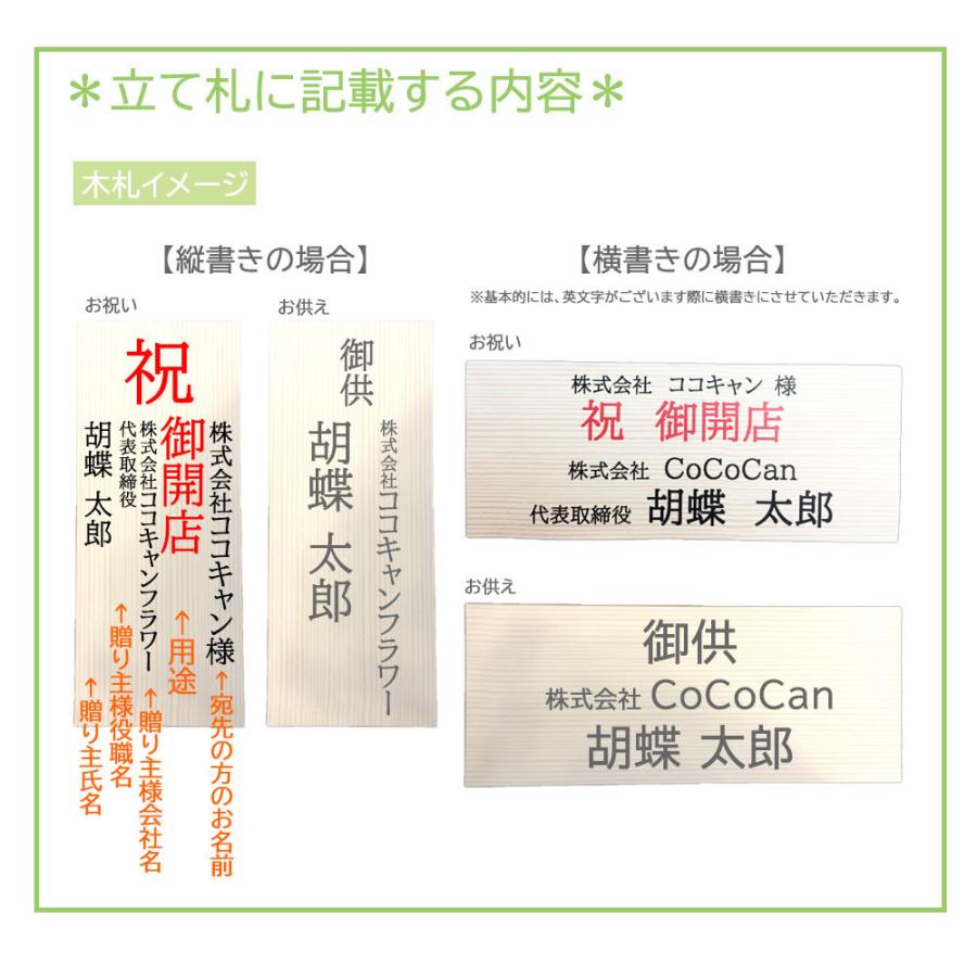 胡蝶蘭 光触媒 7本立ち ピンクグラデーション 豪華 ギフト 法人祝い 就任 周年 記念 お祝い 枯れない花 送料無料 |  | 14