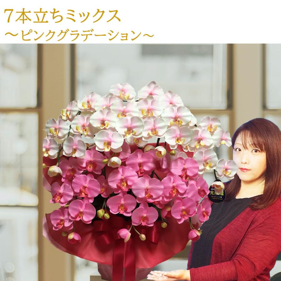 胡蝶蘭 光触媒 7本立ち ピンクグラデーション 豪華 ギフト 法人祝い 就任 周年 記念 お祝い 枯れない花 送料無料 |  | 04