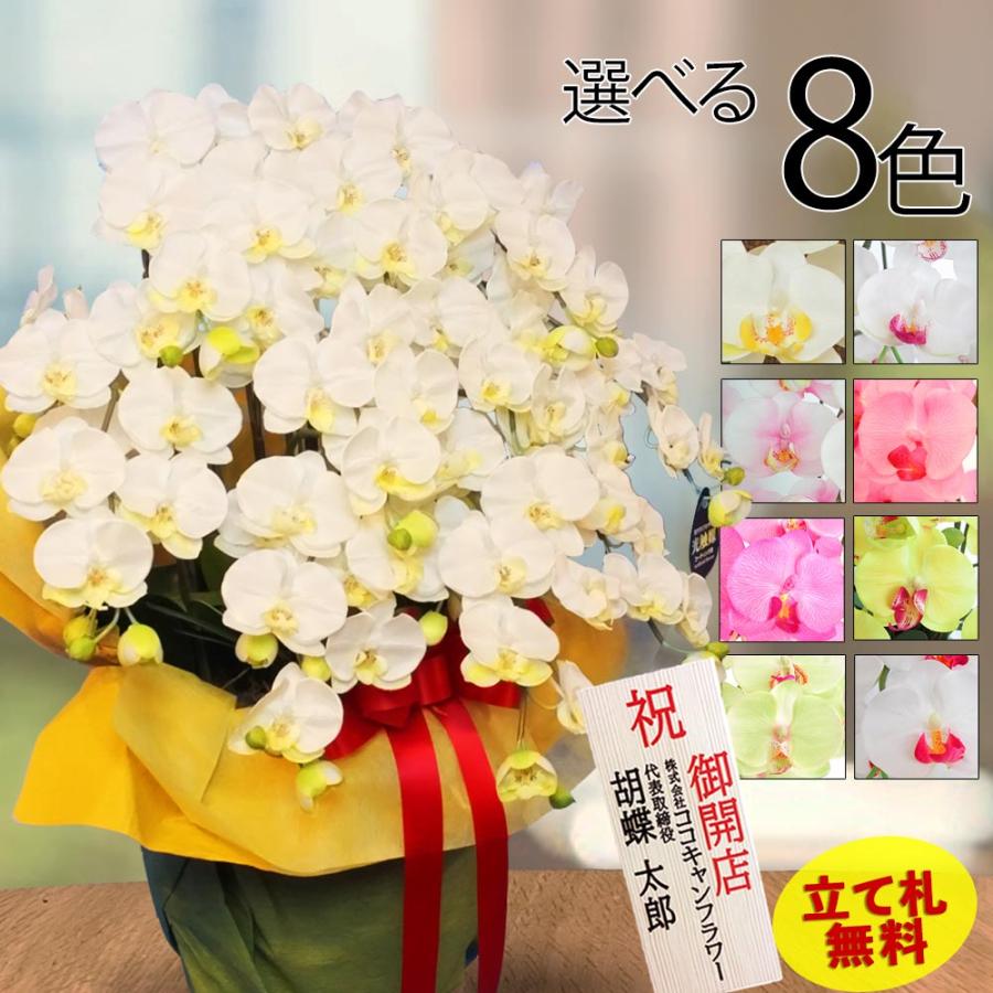 光触媒　人工観葉植物　プレミアム胡蝶蘭１０本立W 高さ90cm 光触媒 光の楽園 プレミアム胡蝶蘭10本立W 【アートフラワー
