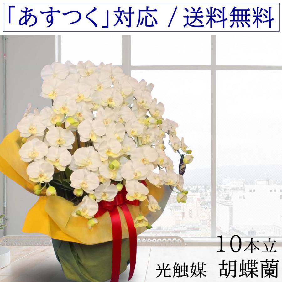 光触媒　人工観葉植物　プレミアム胡蝶蘭１０本立W 高さ90cm 光触媒 光の楽園 プレミアム胡蝶蘭10本立W 【アートフラワー