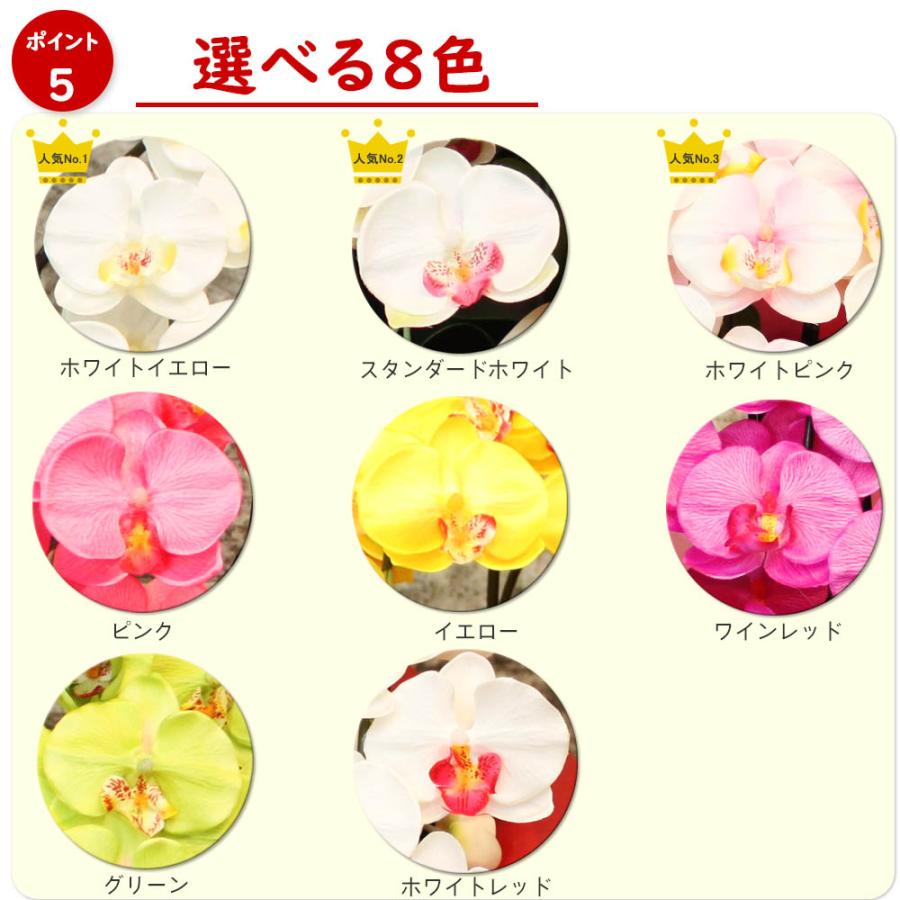 閉店セール☆80％OFF】光触媒 胡蝶蘭 10本立ち 超特大 大輪 造花