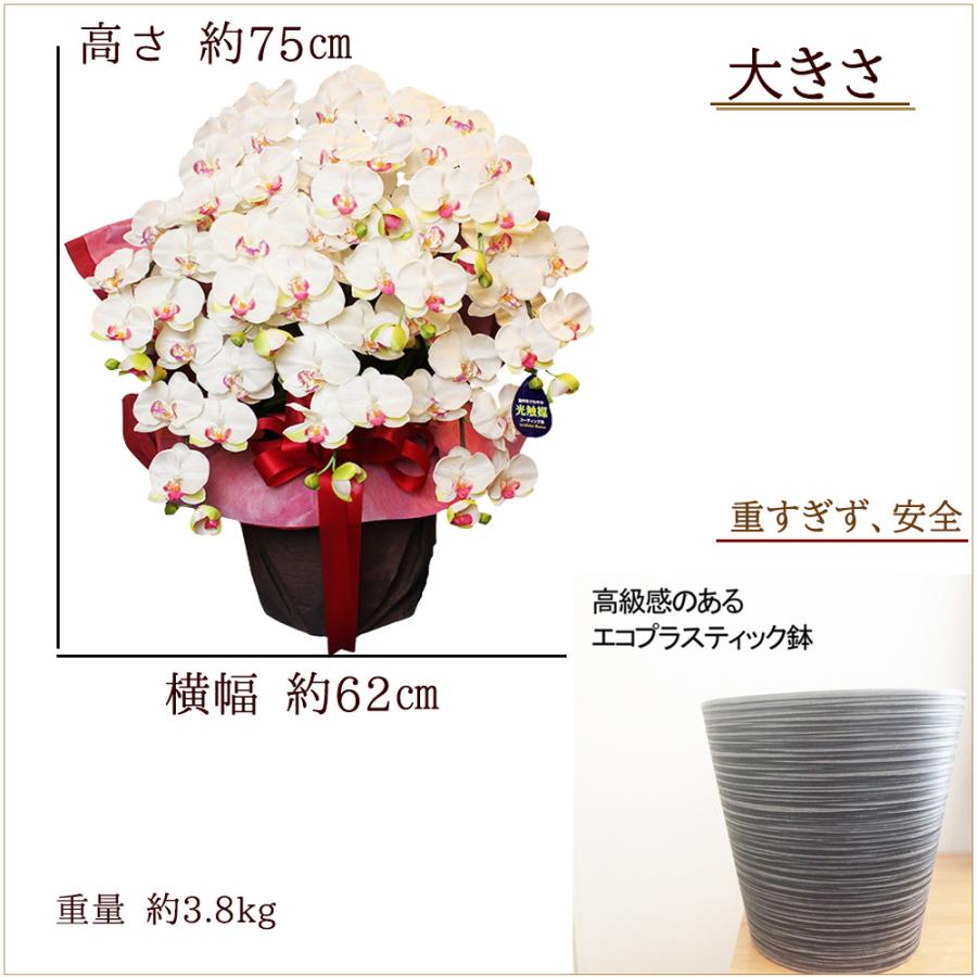 光触媒 胡蝶蘭 10本立ち 超特大 大輪 造花 ギフト 開店祝い 周年記念