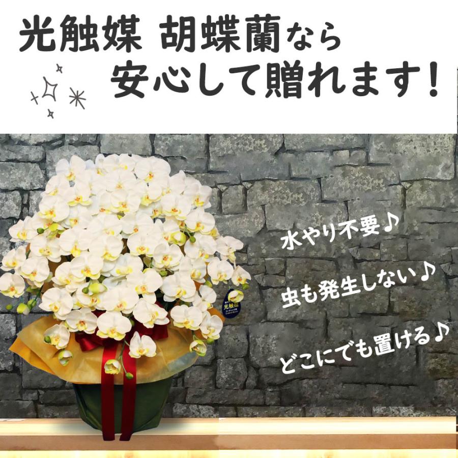 閉店セール☆80％OFF】光触媒 胡蝶蘭 10本立ち 超特大 大輪 造花