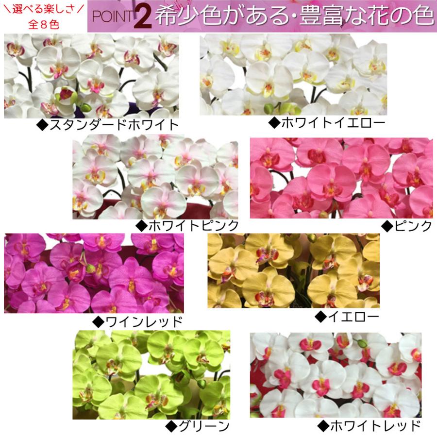 胡蝶蘭 光触媒 2本立ち Mサイズ シンプルギフト 造花 鉢植え お祝い プレゼント インテリア |  | 03