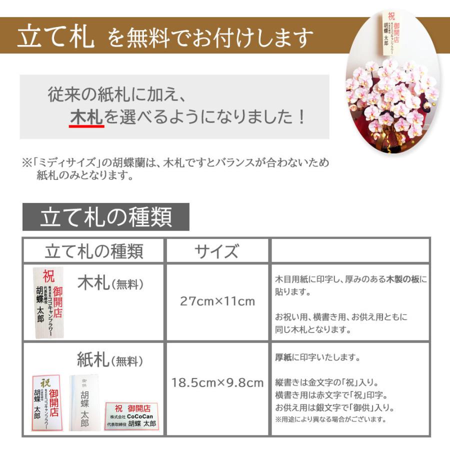 胡蝶蘭 光触媒 2本立ち Mサイズ シンプルギフト 造花 鉢植え お祝い プレゼント インテリア |  | 09