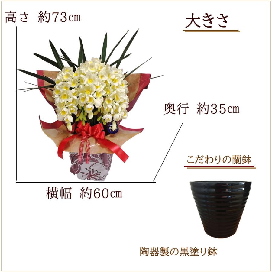 シンビジウム 光触媒 Mサイズ 大輪 洋ラン 造花 豪華 ギフト