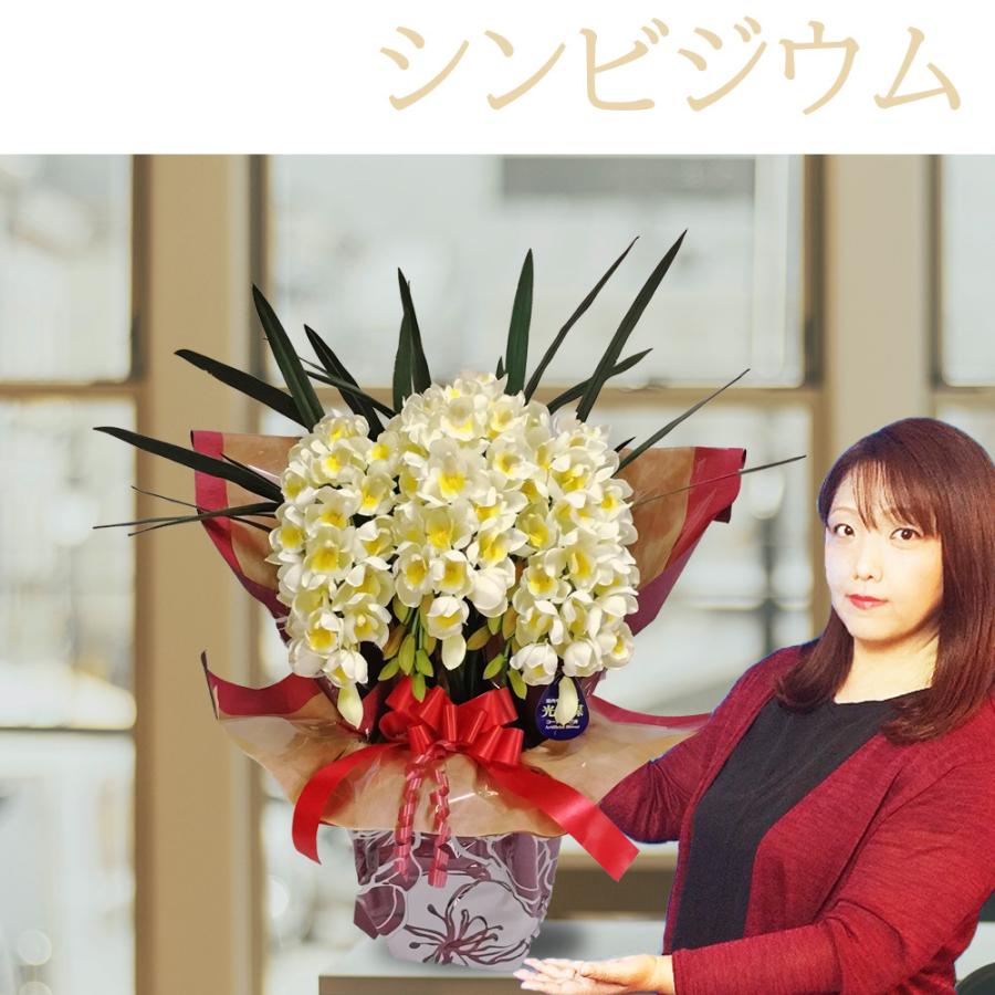 シンビジウム 光触媒 Mサイズ 大輪 洋ラン 造花 豪華 ギフト