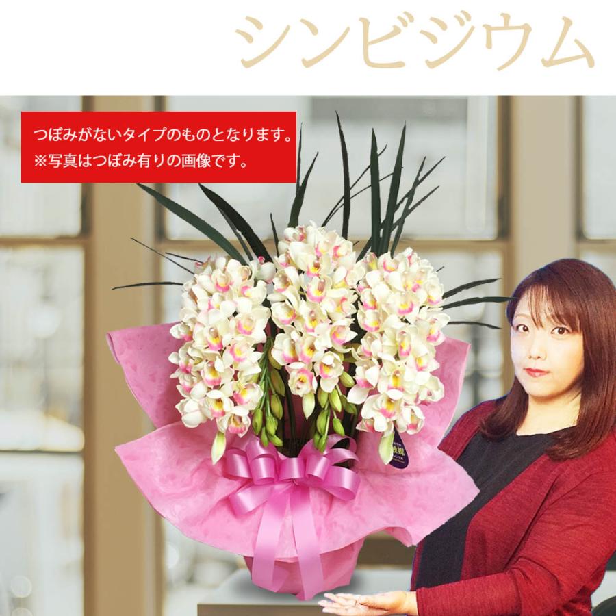 閉店セール☆80％OFF】シンビジウム 光触媒 Mサイズ 大輪 洋ラン 造花