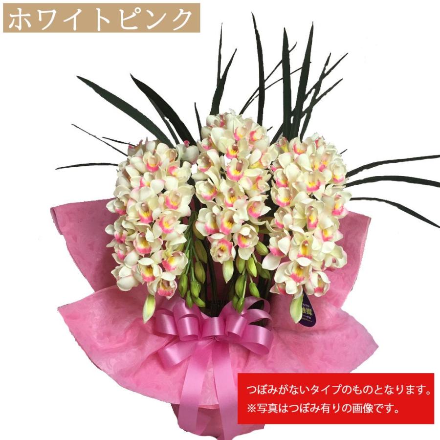 閉店セール☆80％OFF】シンビジウム 光触媒 Mサイズ 大輪 洋ラン 造花