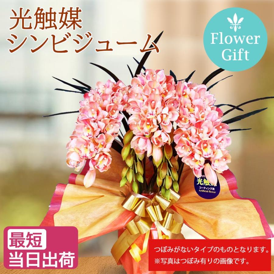 シンビジウム 光触媒 ミディ 3本立ち サーモンピンク 洋ラン 造花 ギフト 可愛い お祝い 誕生日 インテリア 鉢植え ピンク | 
