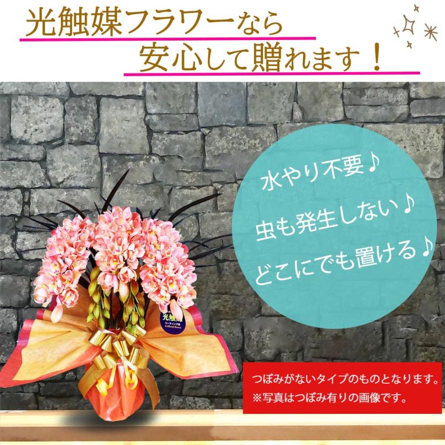 シンビジウム 光触媒 ミディ 3本立ち サーモンピンク 洋ラン 造花 ギフト 可愛い お祝い 誕生日 インテリア 鉢植え ピンク |  | 02