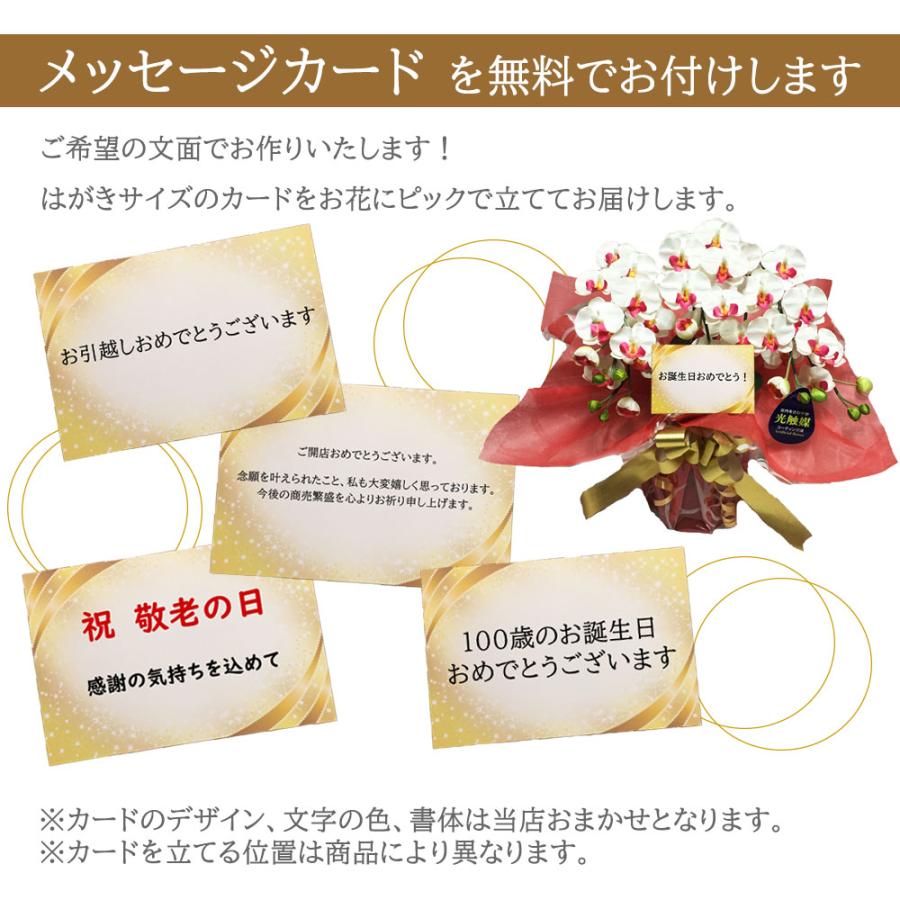 シンビジウム 光触媒 ミディ 3本立ち サーモンピンク 洋ラン 造花 ギフト 可愛い お祝い 誕生日 インテリア 鉢植え ピンク |  | 07