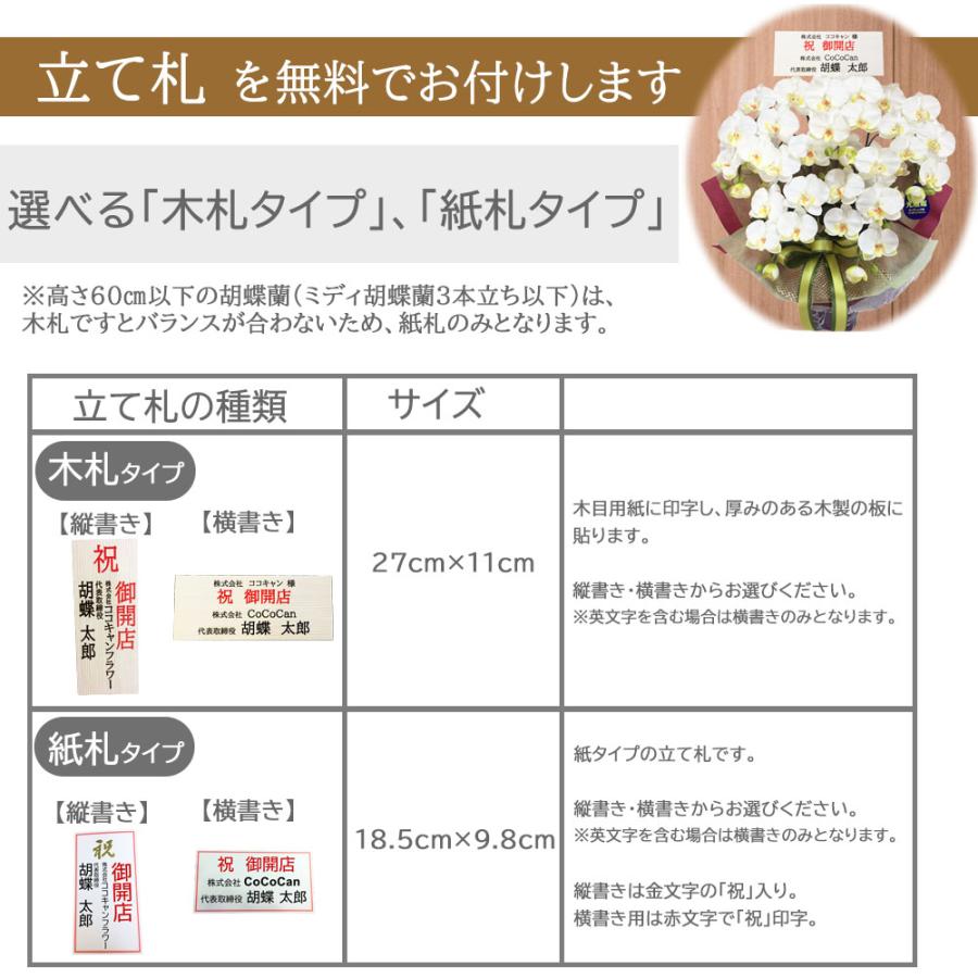 シンビジウム 光触媒 ミディ 3本立ち サーモンピンク 洋ラン 造花 ギフト 可愛い お祝い 誕生日 インテリア 鉢植え ピンク |  | 08