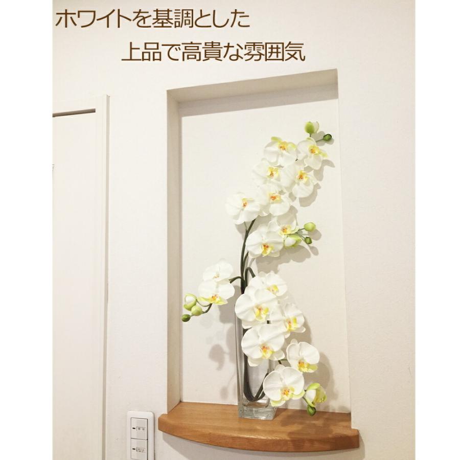 光触媒 胡蝶蘭 アレンジ ガラス花瓶入り 高級感 エレガンス ギフト