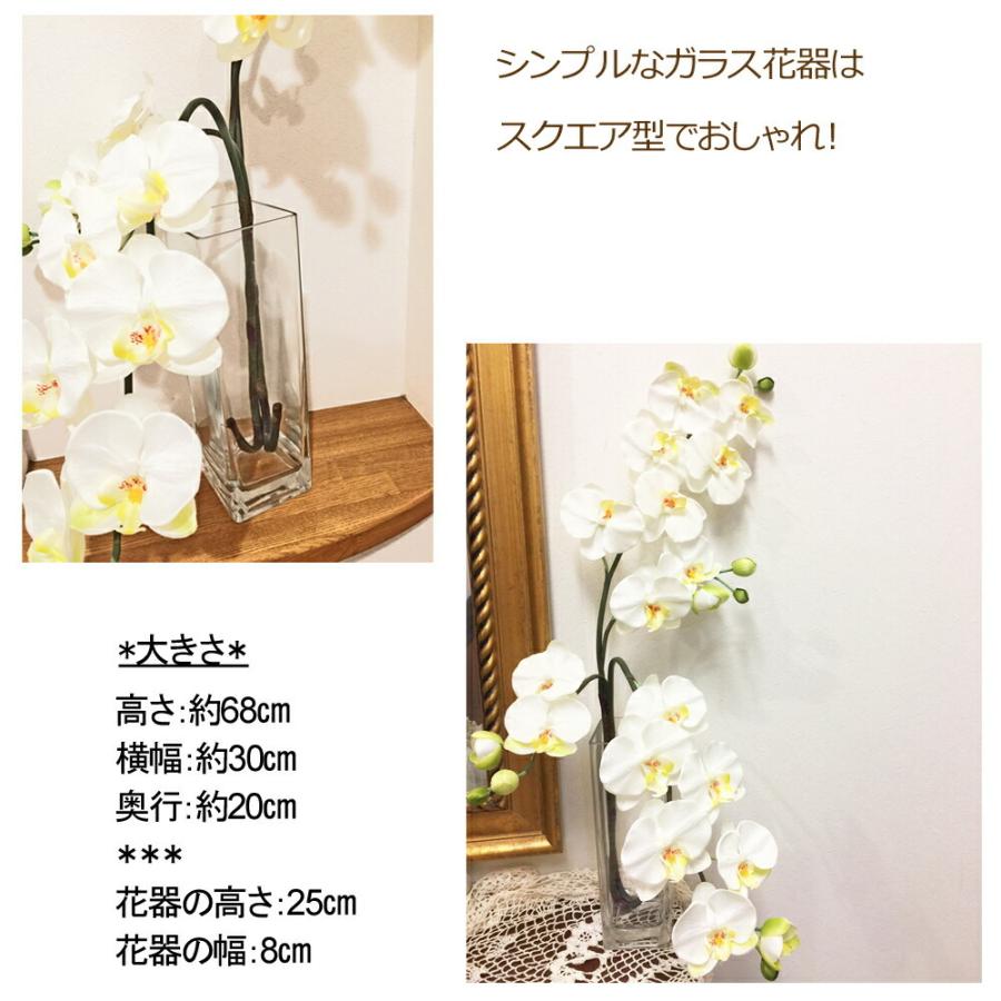 光触媒 胡蝶蘭 アレンジ ガラス花瓶入り 高級感 エレガンス ギフト