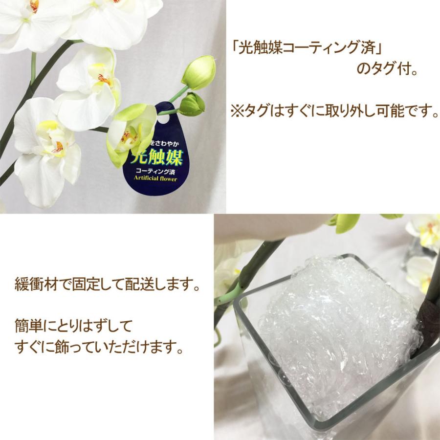 光触媒 胡蝶蘭 アレンジ ガラス花瓶入り 高級感 エレガンス ギフト