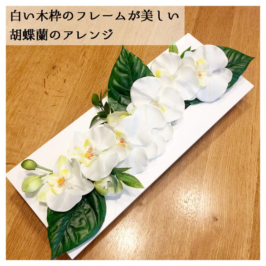 開店祝い 胡蝶蘭 おしゃれ 壁掛け 額 モダン 令和 プレゼント