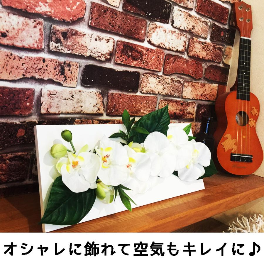 胡蝶蘭 光触媒 壁掛けアレンジ 造花 壁飾り フラワー ギフト お祝い インテリア プレゼント 枯れない花 送料無料 |  | 05