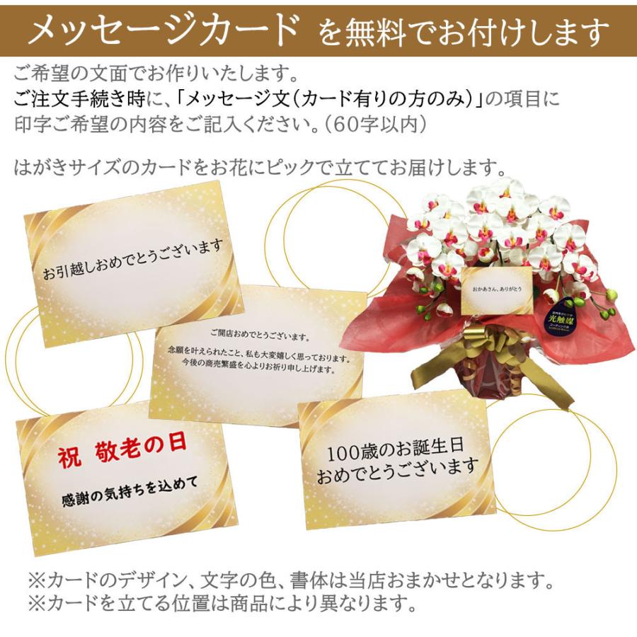 胡蝶蘭 光触媒 壁掛けアレンジ 造花 壁飾り フラワー ギフト お祝い インテリア プレゼント 枯れない花 送料無料 |  | 09