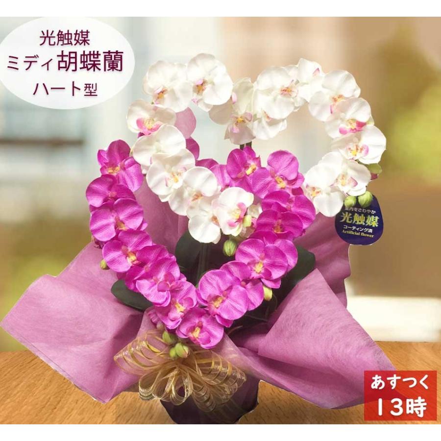 人気no 1 本体 胡蝶蘭 開店祝い 光触媒 ミディ ミニ 造花 ハート 開業 誕生日 ギフト プレゼント ホワイト 紫 ピンク 黄色 ブルー 青 ココキャンフラワー 楽天ランキング1位 Zoetalentsolutions Com