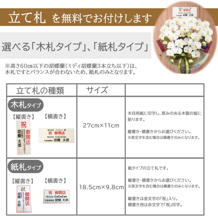 プレミアム 胡蝶蘭 ワイン 紫 5本立ち 光触媒 大輪 高級 造花 ギフト 開店祝い サロン 就任祝い お供え 仏花 インテリア 鉢植え ワインレッド 特大 豪華 |  | 11