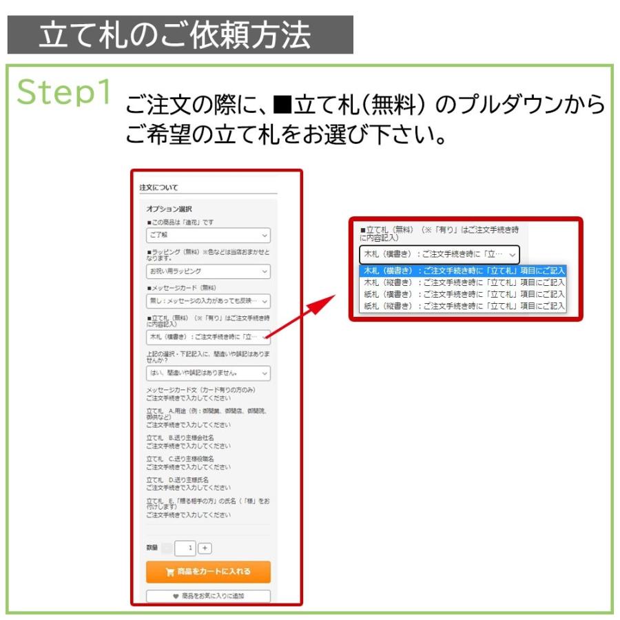 プレミアム 胡蝶蘭 ワイン 紫 5本立ち 光触媒 大輪 高級 造花 ギフト 開店祝い サロン 就任祝い お供え 仏花 インテリア 鉢植え ワインレッド 特大 豪華 |  | 13