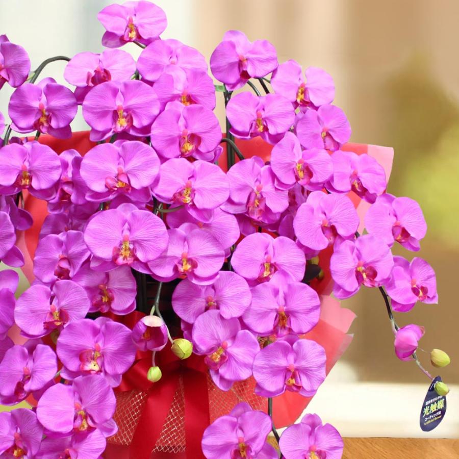 プレミアム 胡蝶蘭 ワイン 紫 5本立ち 光触媒 大輪 高級 造花 ギフト 開店祝い サロン 就任祝い お供え 仏花 インテリア 鉢植え ワインレッド 特大 豪華 |  | 01