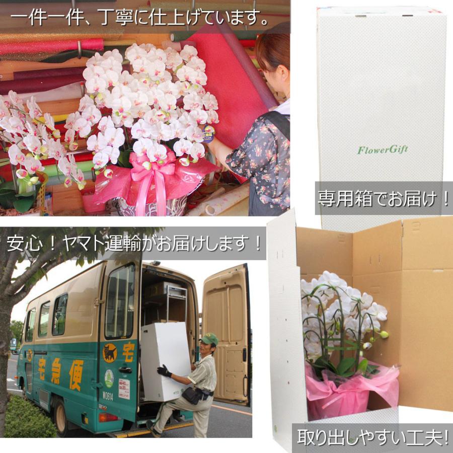 プレミアム 胡蝶蘭 ワイン 紫 5本立ち 光触媒 大輪 高級 造花 ギフト 開店祝い サロン 就任祝い お供え 仏花 インテリア 鉢植え ワインレッド 特大 豪華 |  | 17