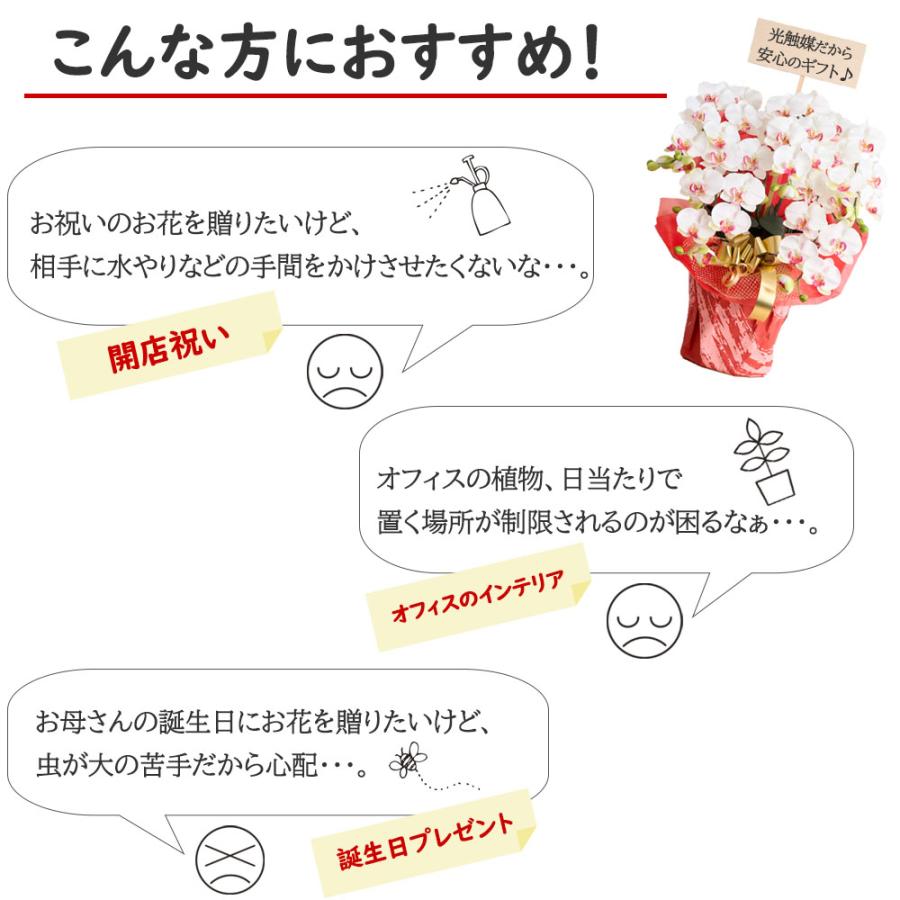 プレミアム 胡蝶蘭 ワイン 紫 5本立ち 光触媒 大輪 高級 造花 ギフト 開店祝い サロン 就任祝い お供え 仏花 インテリア 鉢植え ワインレッド 特大 豪華 |  | 02