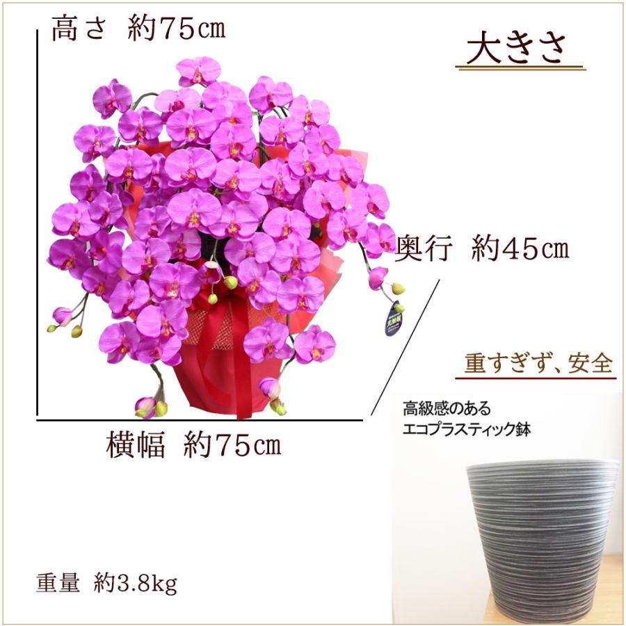 プレミアム 胡蝶蘭 ワイン 紫 5本立ち 光触媒 大輪 高級 造花 ギフト 開店祝い サロン 就任祝い お供え 仏花 インテリア 鉢植え ワインレッド 特大 豪華 |  | 05
