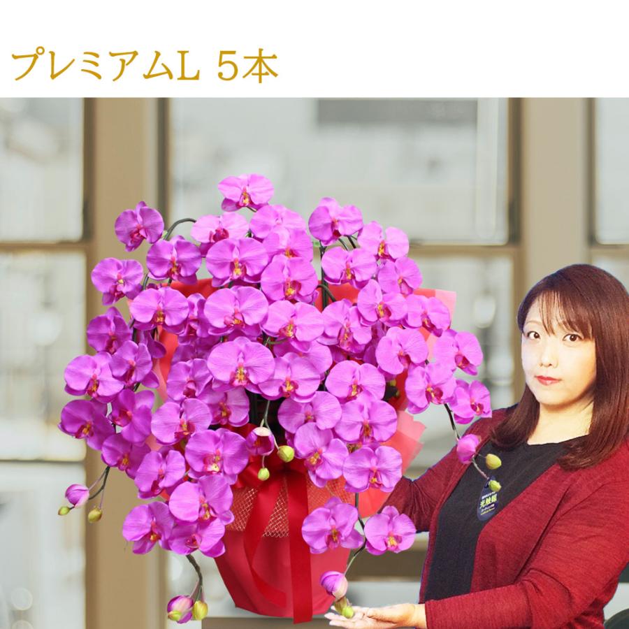 プレミアム 胡蝶蘭 ワイン 紫 5本立ち 光触媒 大輪 高級 造花 ギフト 開店祝い サロン 就任祝い お供え 仏花 インテリア 鉢植え ワインレッド 特大 豪華 |  | 06