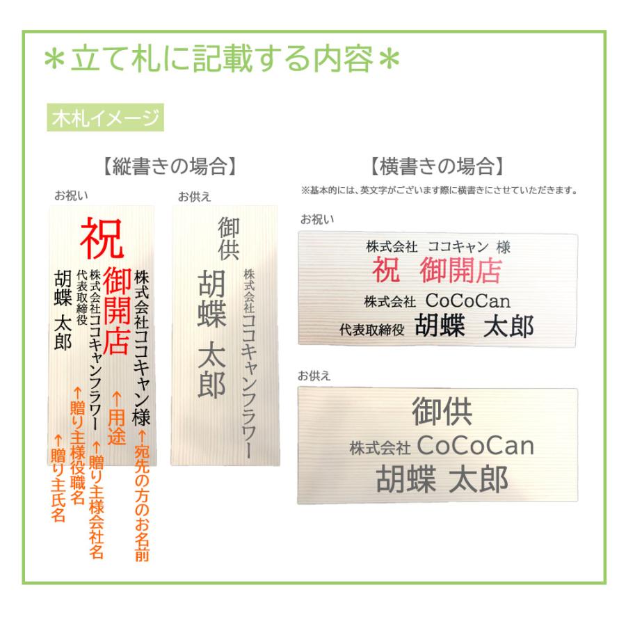 パキラ 開店祝い 観葉植物 フェイクグリーン 引越し祝い 造花 インテリア  おしゃれ お祝い 開業 開院 移転 法人 室内 オフィス 敬老の日 ギフト |  | 06