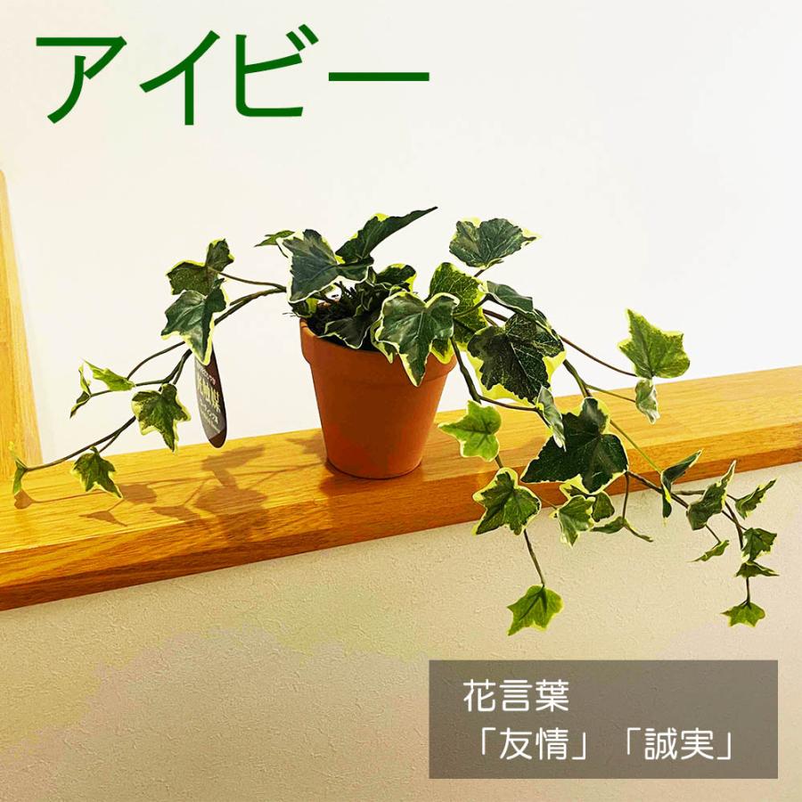 光触媒 フェイクグリーン 2個セット アイビー＆ポトス 観葉植物 造花 鉢植え 卓上グリーン インテリア プレゼント ギフト 送料無料 |  | 01